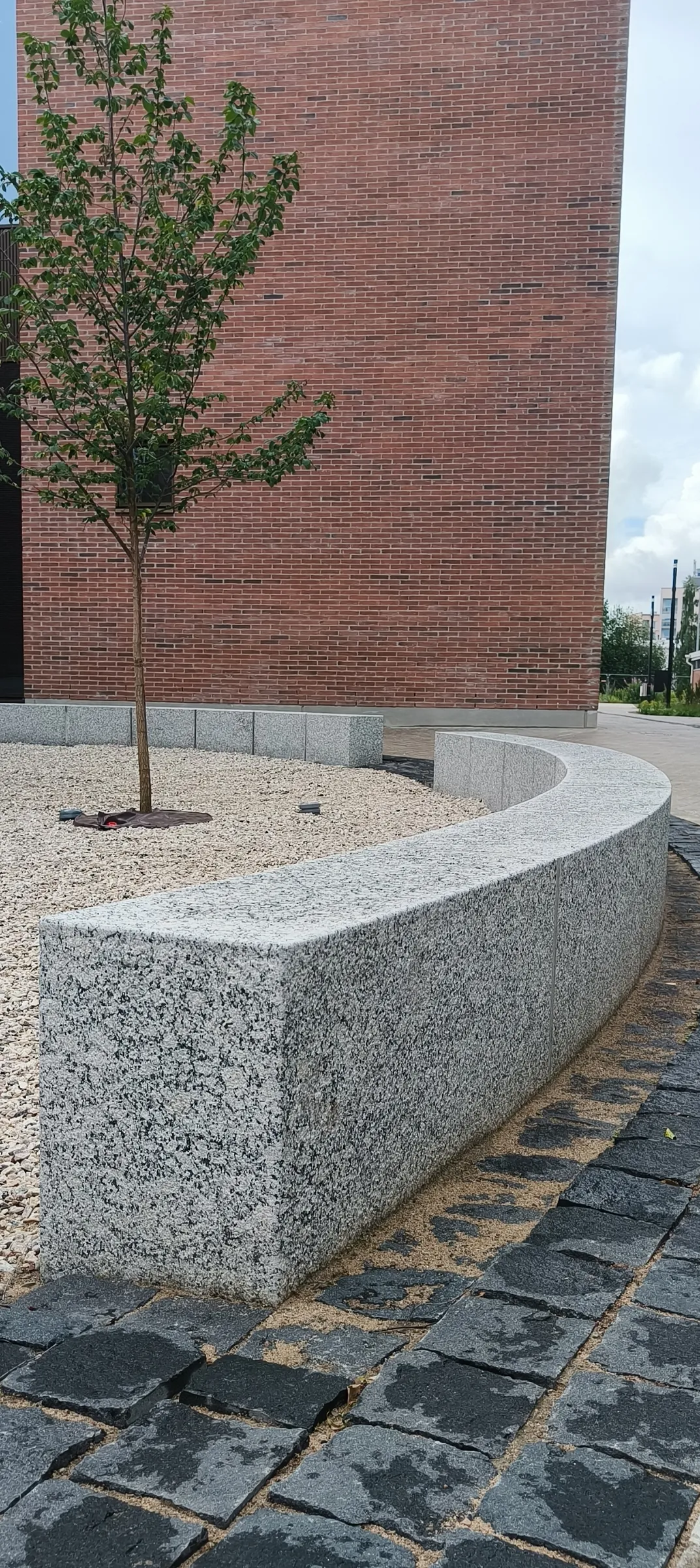 Nuori puu kasvaa vaaleassa sorassa, jota ympäröi kaareva, vaaleanharmaa graniittireunus. Taustalla on punatiilinen rakennuksen seinä. Etualalla oikealla on tummia, kosteita laattakiviä. Kuva on otettu pilvisenä päivänä.